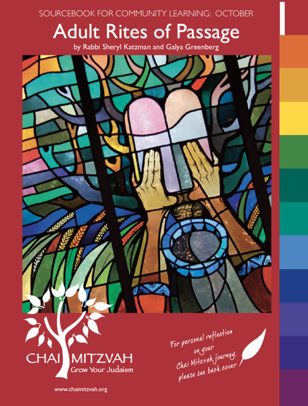 Jewish Journeys: Adult Digital Sourcebook Set