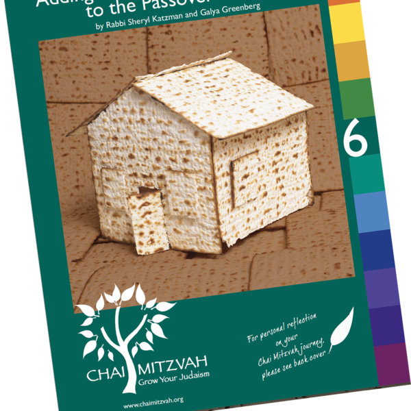 Adding New Insights and Meaning to the Passover Seder