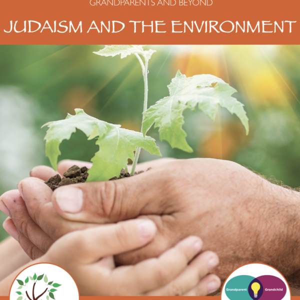Sample Tu B'Shvat Activities
