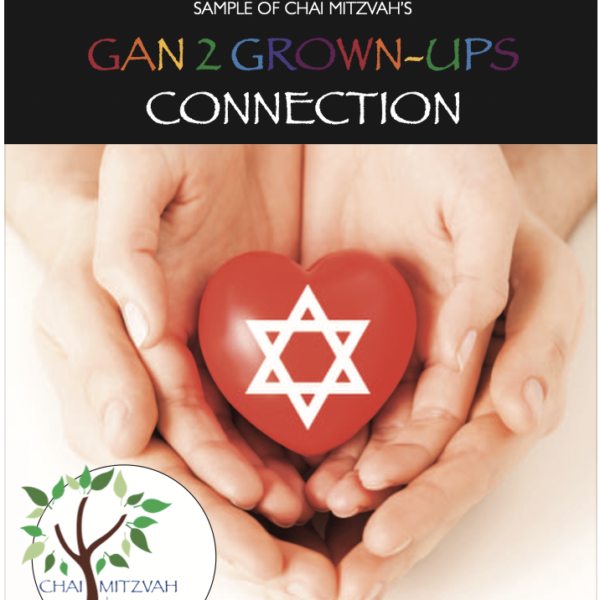 Gan 2 Grown-ups Connection