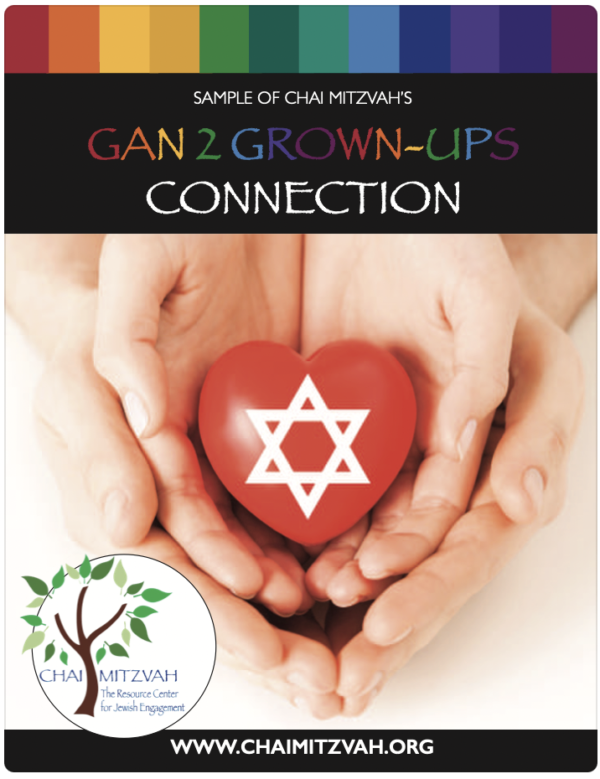 Gan 2 Grown-ups Connection