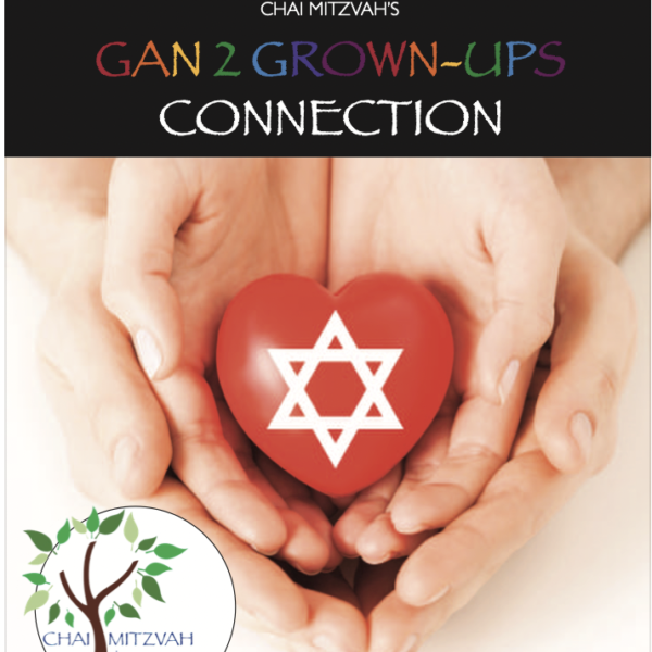 Gan 2 Grown-ups Connection