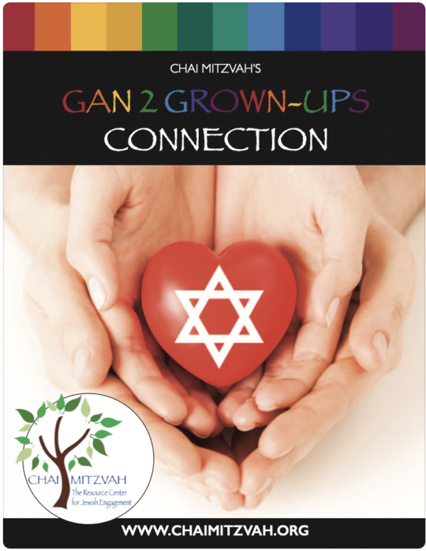 Gan 2 Grown-ups Connection