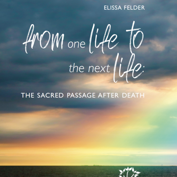 PRINTED Discussion Guide for FROM ONE LIFE TO THE NEXT LIFE: The Sacred Passage After Death